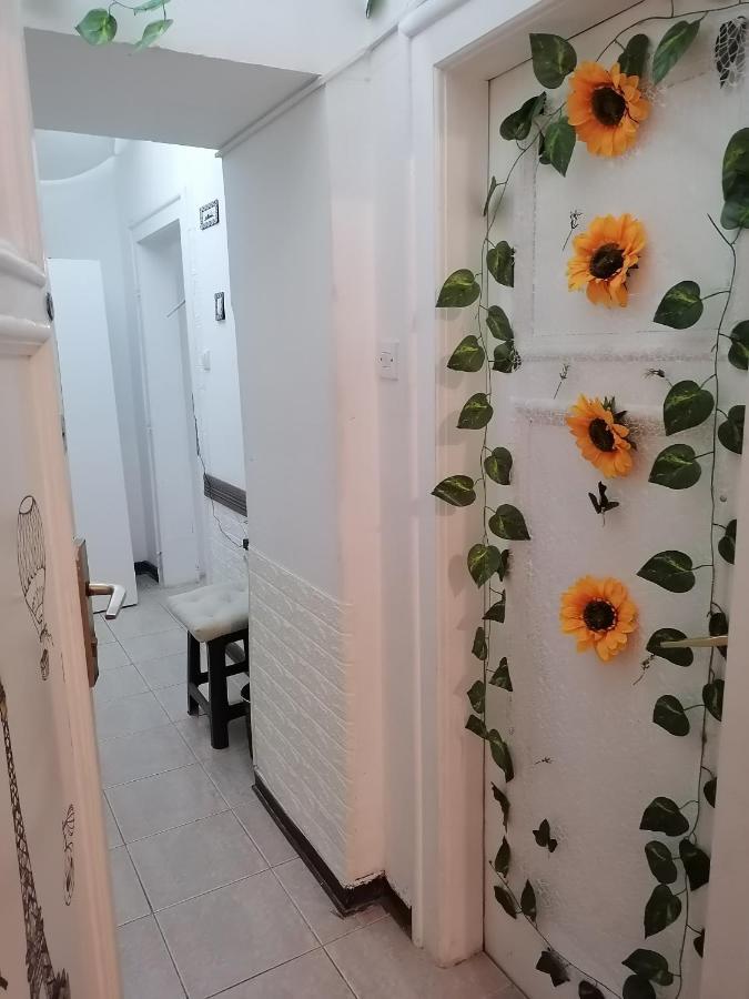 Low Cost Apartment Belgrado Esterno foto