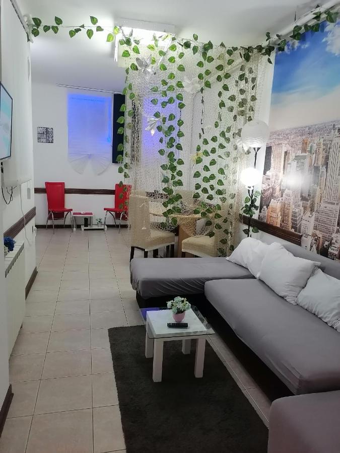 Low Cost Apartment Belgrado Esterno foto